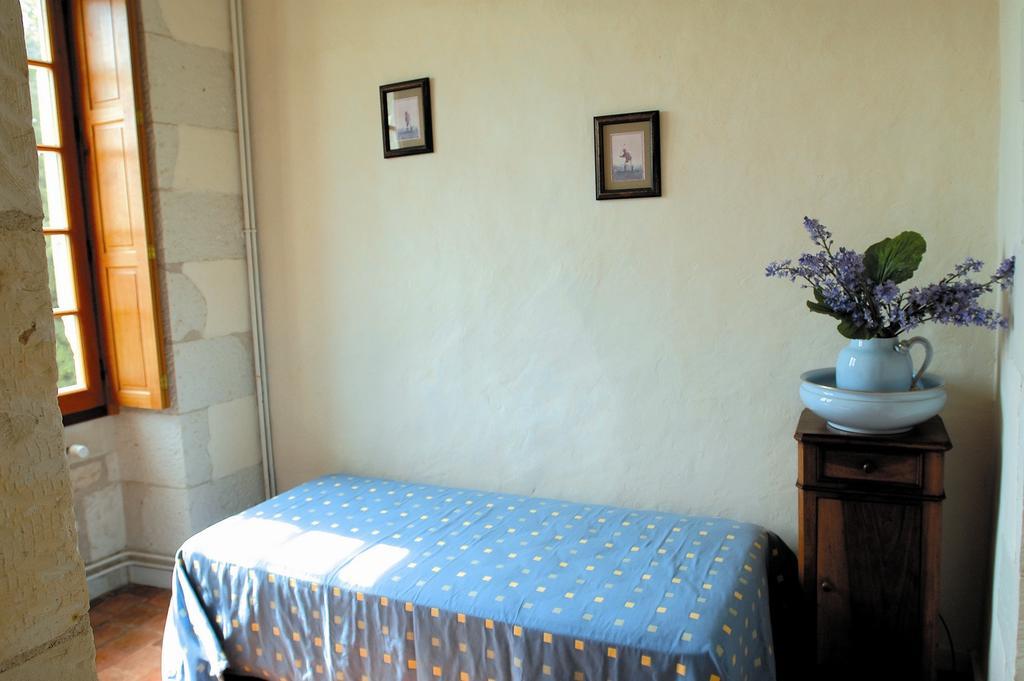 Chateau De La Noblaye Bed & Breakfast Lemere Eksteriør bilde